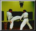 Dietmar and Narfi
